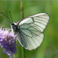 Villach © Werner Kanatschnig Villach © Werner Kanatschnig